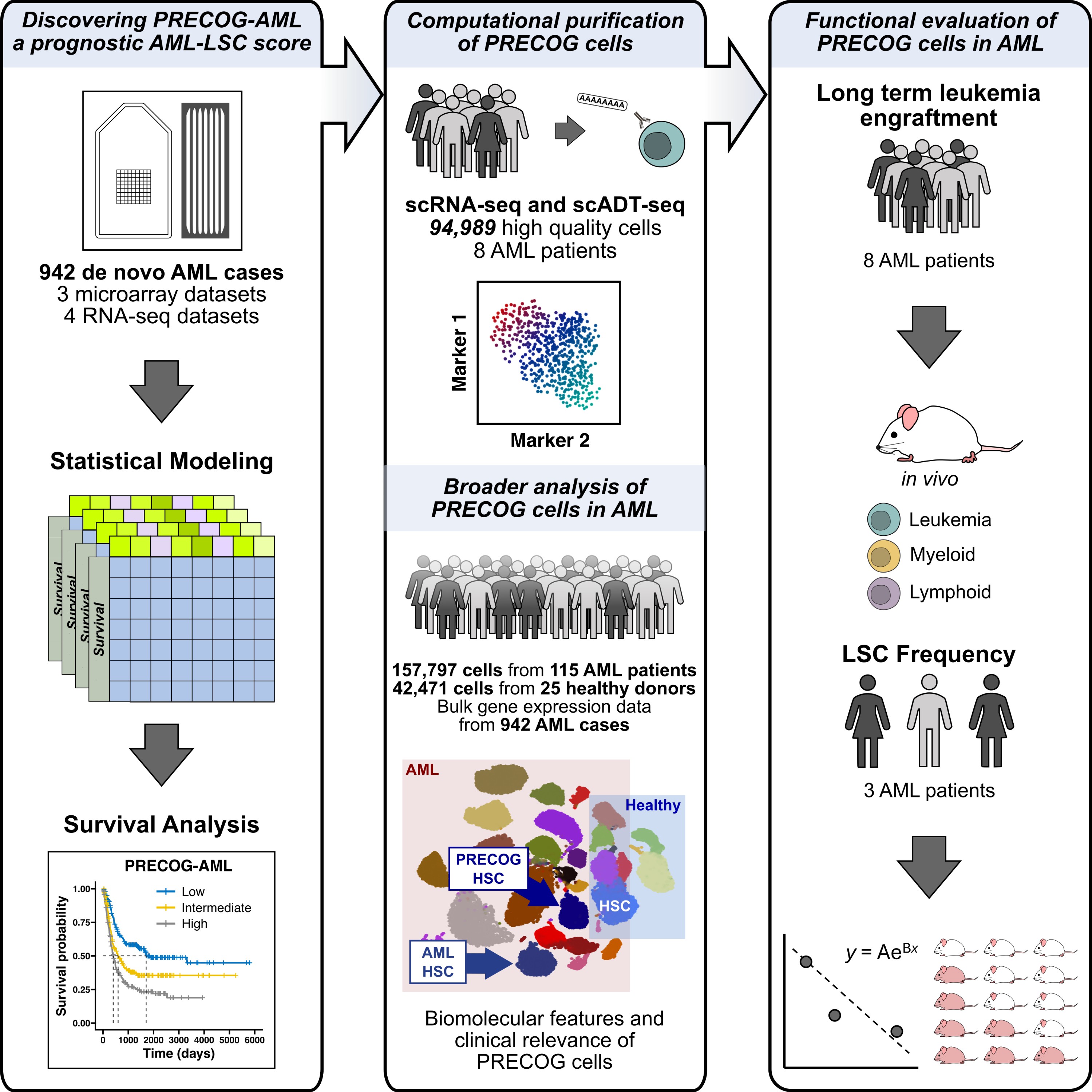 Single cell multi-omics enables high-resolution identification and purification of human acute myeloid leukemia stem cells